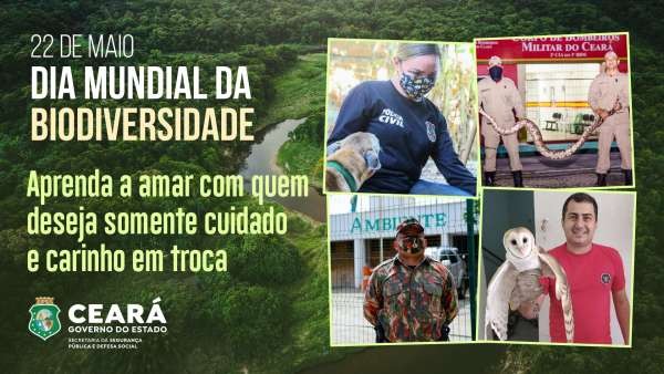 Foto: Reprodução/Secom Ceará