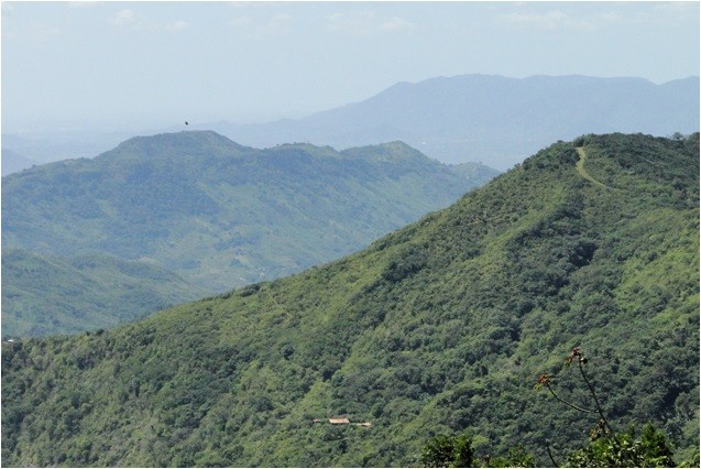 Foto: Reprodução/Secom Ceará