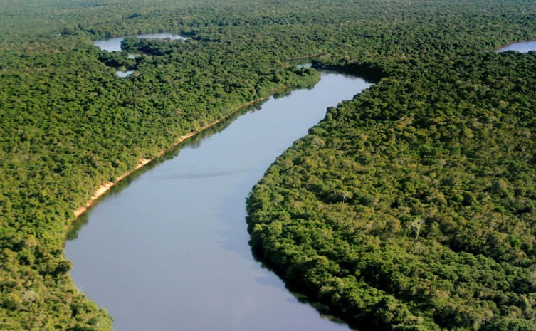 Evento tem foco nas mudanças climáticas e mercado de carbono jurisdicional - Foto: Fernando Alves/Governo do Tocantins