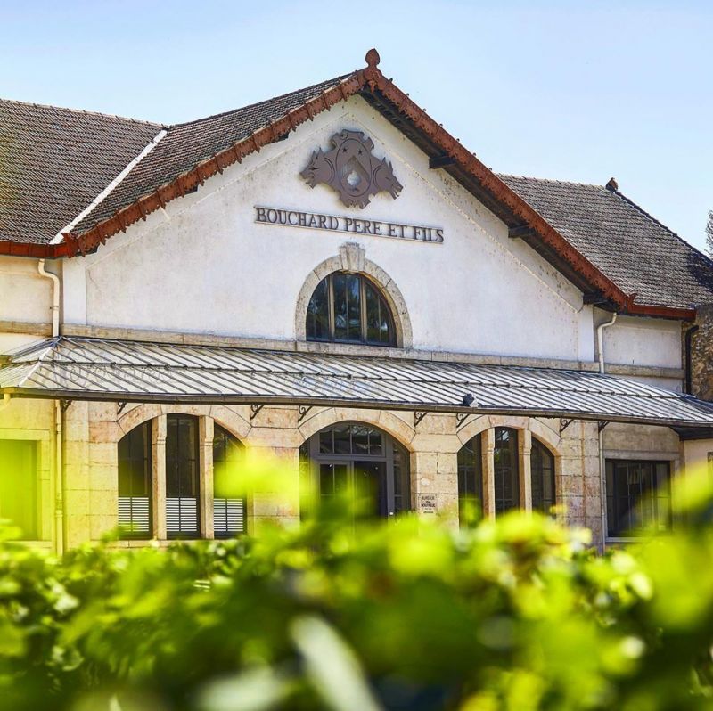 Vinhos foram feitos entre 1862 e 2005 na Bouchard Père et Fils - (Foto: Reprodução/site Bouchard Père et Fils)