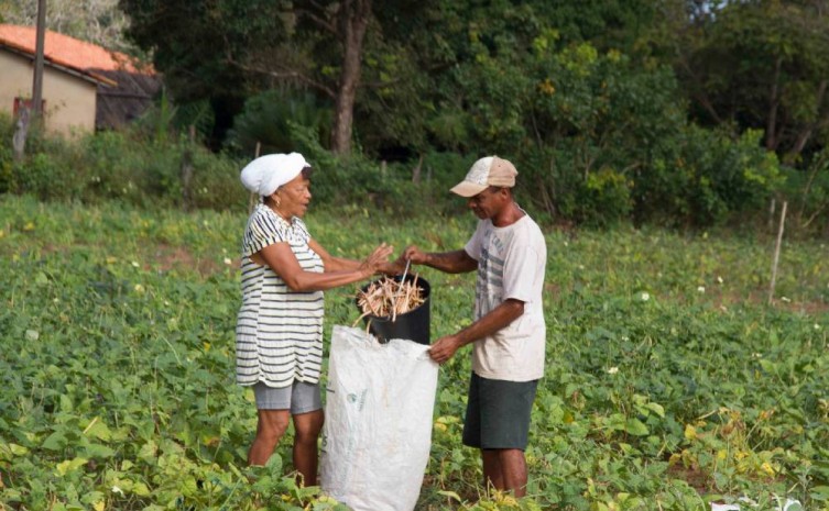 Negociação está disponível para adesão até 30 de dezembro de 2022 - Foto: Seagro/Governo do Tocantins