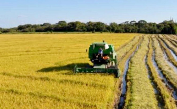 Os projetos de irrigação, desenvolvidos pelo Governo do Tocantins, auxiliam o crescimento da produção de alimentos - Foto: Seagro/Governo do Tocantins