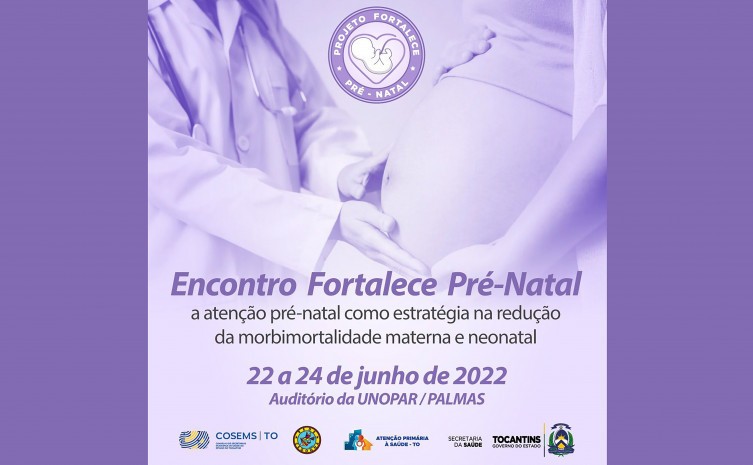 Encontro é destinado aos profissionais de saúde dos 10 municípios prioritários do Projeto Piloto, denominado Fortalece Pré-natal - Foto: SES/Governo do Tocantins