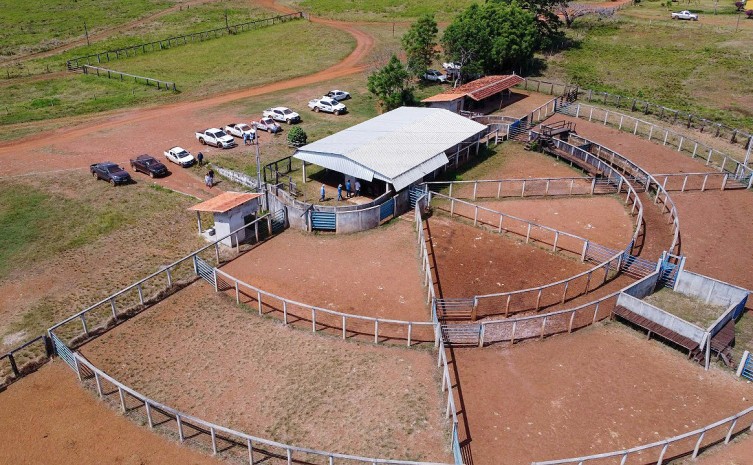 Fazenda possui uma mega estrutura para a criação de gado de corte - Foto: Lincol Filho/Governo do Tocantins