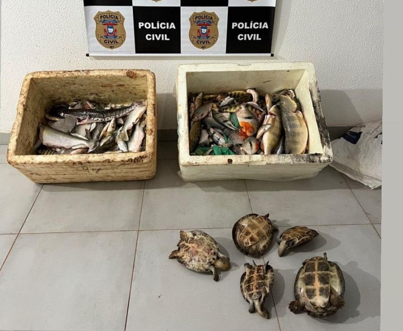 Polícia Civil-MT