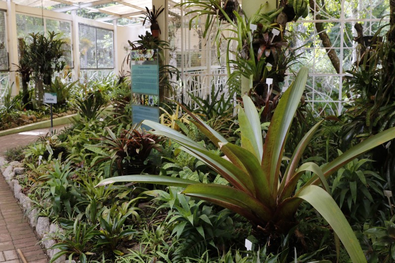 © Fernando Frazão/Agência Brasil