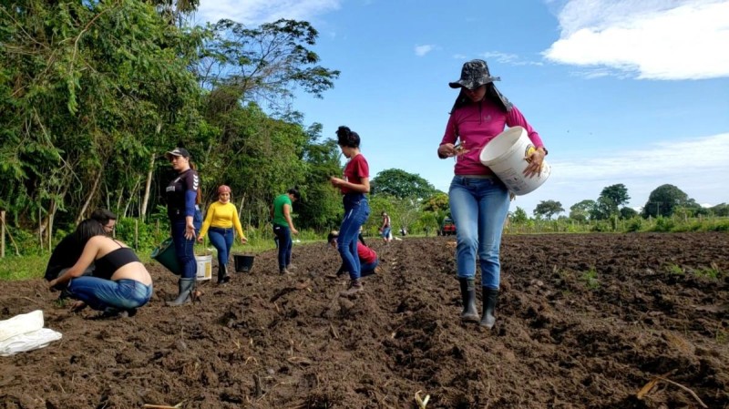 Foto: Reprodução/Prefeitura de Parintins - AM