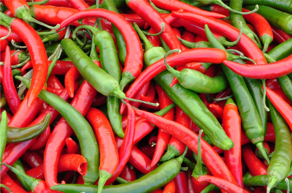 Pimenta Malagueta