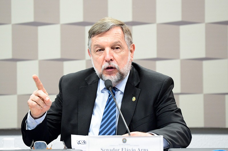 Flávio Arns é presidente do colegiado - Pedro França/Agência Senado
