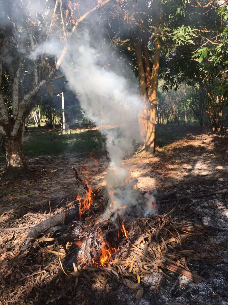 Foto: Reprodução/Prefeitura de Parintins - AM