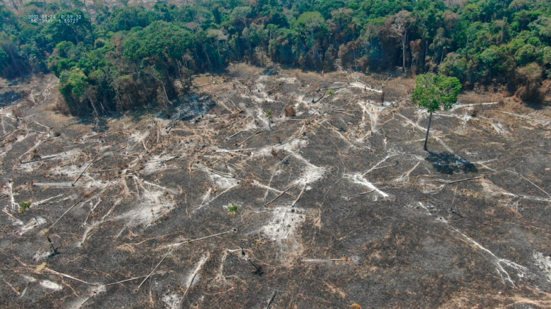 Operação Abafa Amazônia 2022 acontece na região norte de Mato Grosso - Foto por: Batalhão de Emergências Ambientais