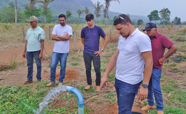 Dia de Campo apresenta boas práticas agrícolas na cultura da Mandioca irrigada - Foto: Ruraltins/Governo do Tocantins