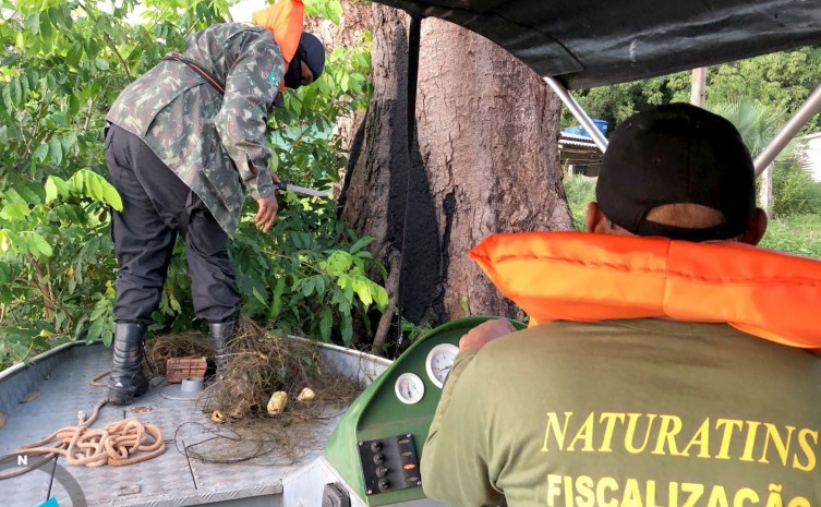 Naturatins realizou, no último ano, mais de 2 mil ações de fiscalização e 32 operações especiais - Foto: Fernando Alves/Governo do Tocantins