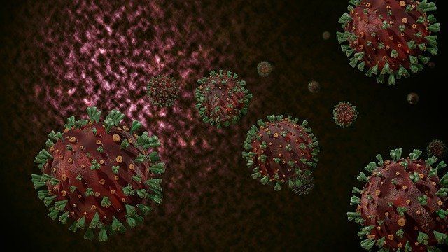 Proteína Spike é a responsável pela entrada do vírus na célula humana saudável - (Foto: Pixabay)
