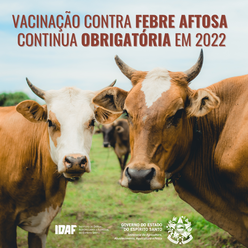 Foto: Reprodução/Secom Espírito Santo