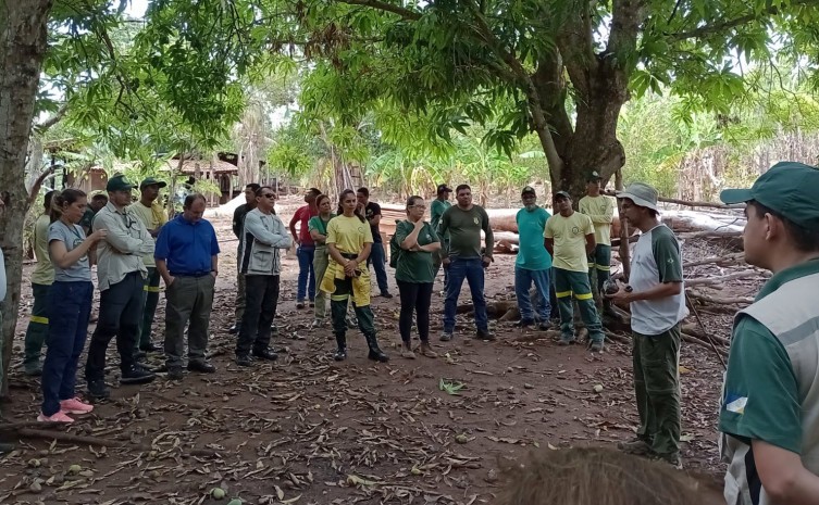 Comportamento da onça pintada foi monitorado durante cinco meses - Foto: Naturatins/Governo do Tocantins