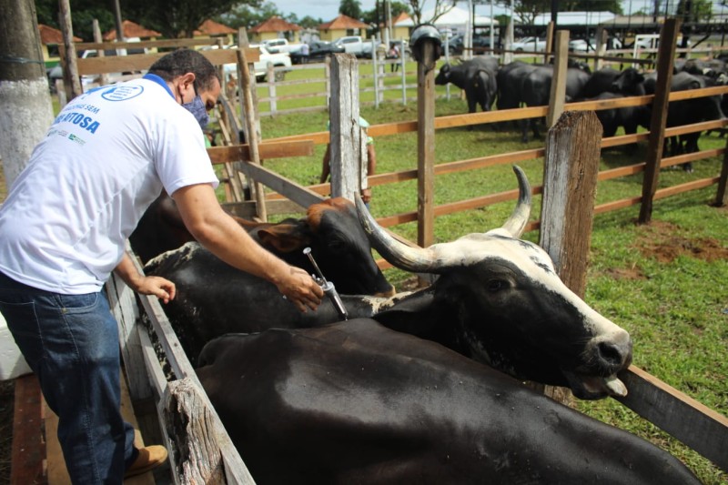 Foto: Reprodução/Secom Amazonas