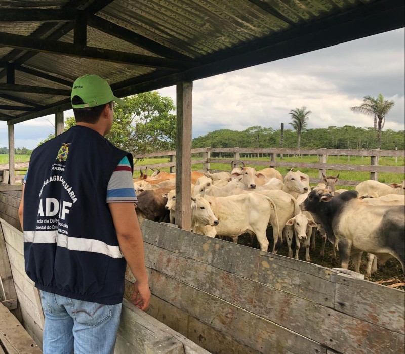 Foto: Reprodução/Secom Amazonas
