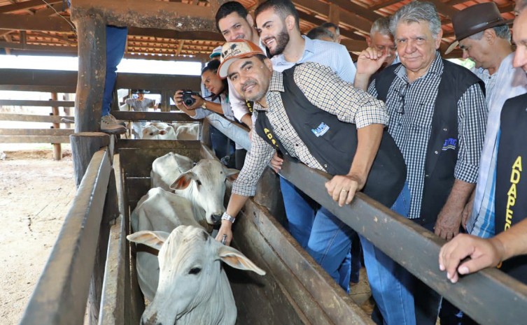 Abertura oficial foi realizada pelo governador do Estado do Tocantins, Wanderlei Barbosa, nesta terça-feira, 1° de novembro - Foto: Antonio Gonçalves/Governo do Tocantins