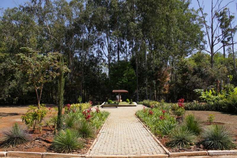 Foto: Tony Oliveira/Agência Brasília