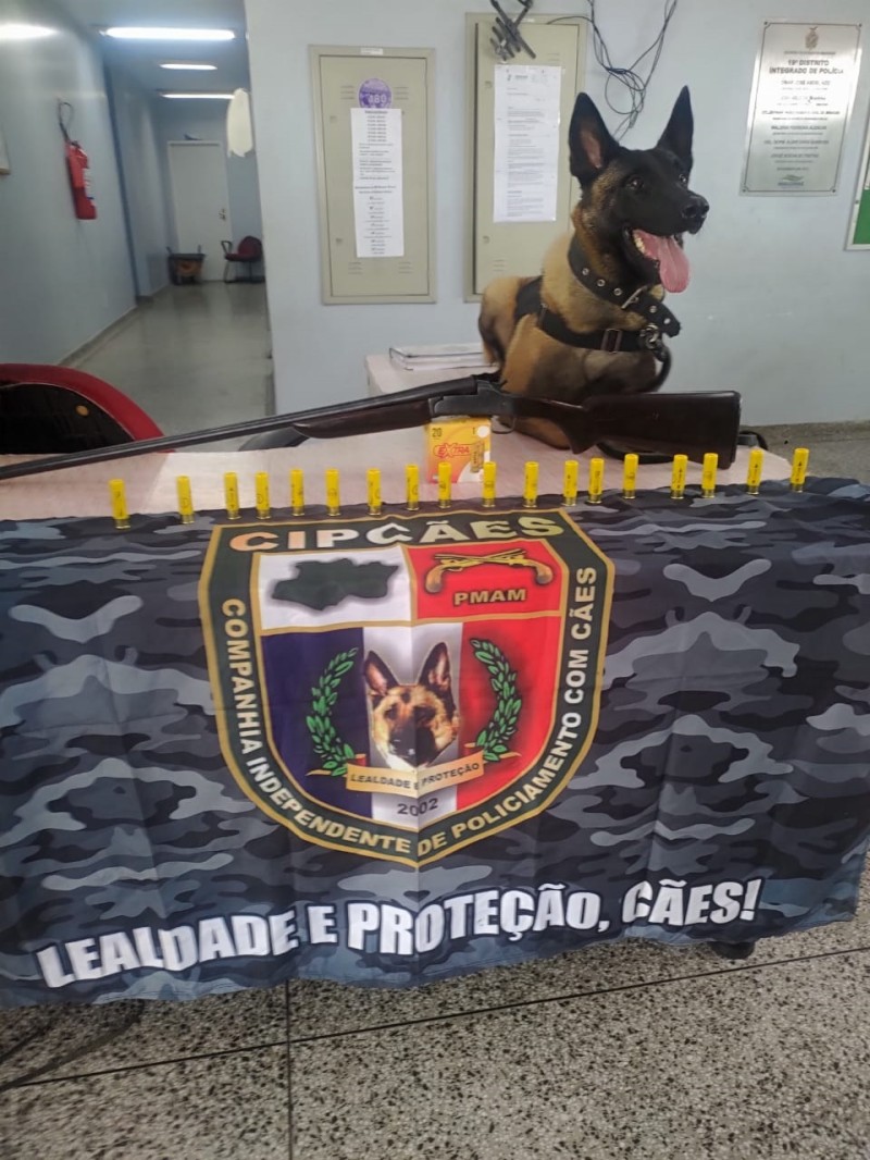 Foto: Reprodução/Secom Amazonas