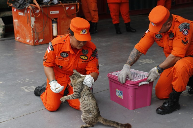 Foto: Reprodução/Secom Amazonas