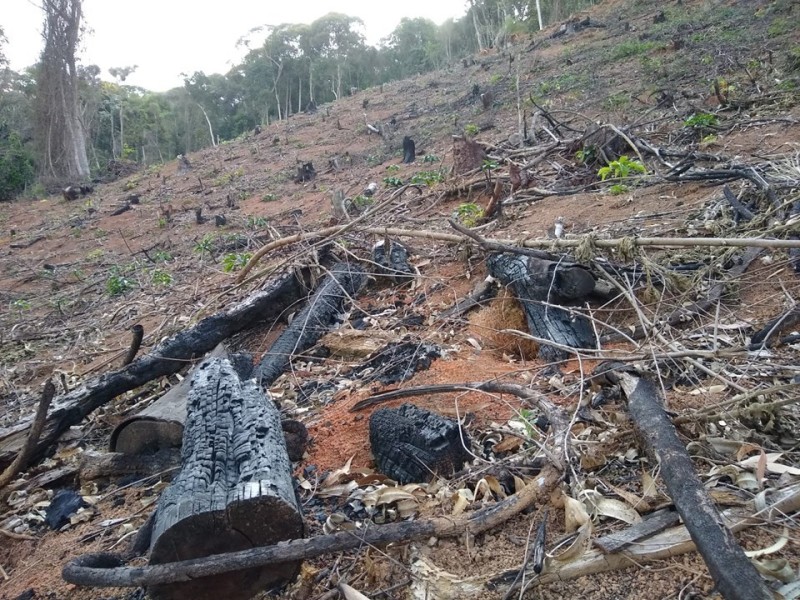 Foto: Reprodução/Secom Espírito Santo