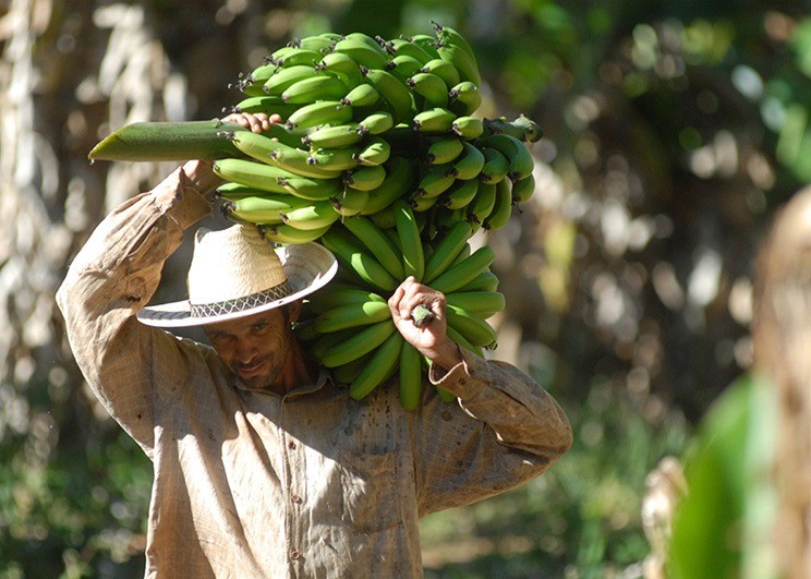 Foto: Reprodução/Secom Goiás