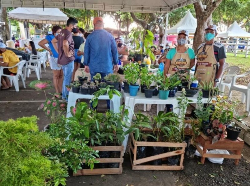 Foto: Reprodução/Secom Amazonas
