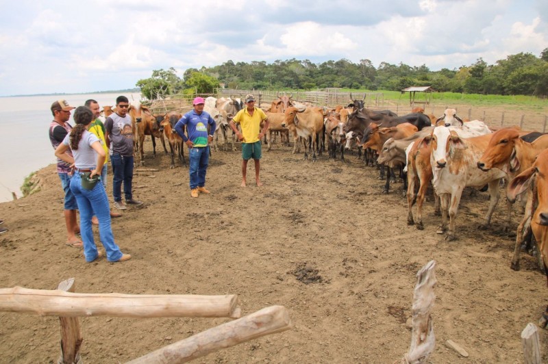 Foto: Reprodução/Secom Amazonas