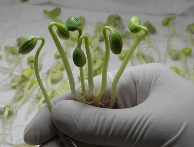 Inicialmente, serão implantados os laboratórios da ETE de Poxoréu e do Parque Tecnológico Mato Grosso, em Várzea Grande. - Foto por: Divulgação
