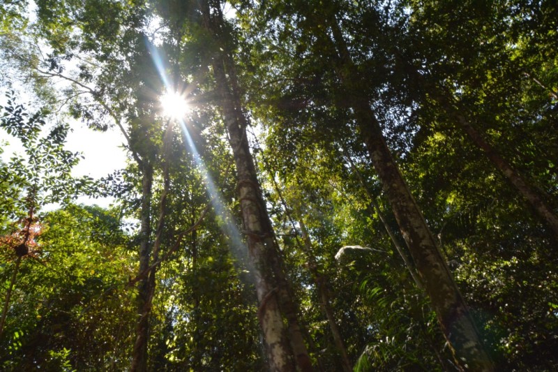 Foto: Reprodução/Secom Amazonas