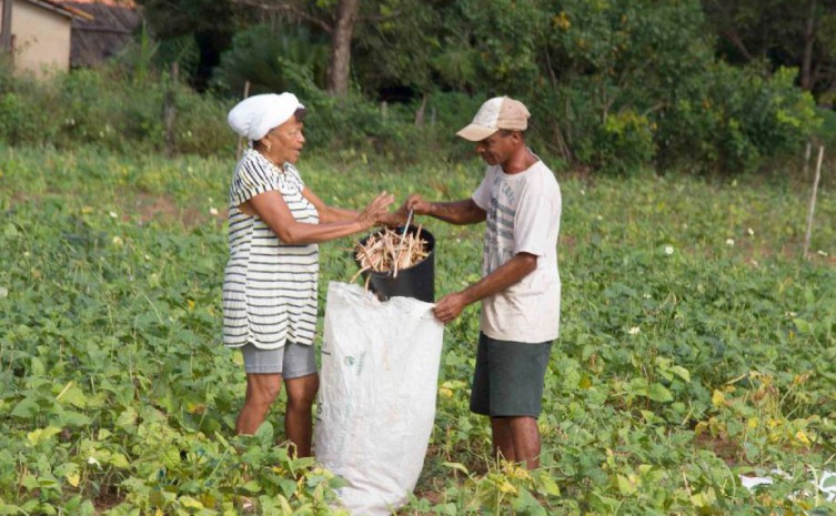 Durante as visitas de campo, a equipe esteve em 33 associações/unidades produtivas - Foto: Seagro/Governo do Tocantins