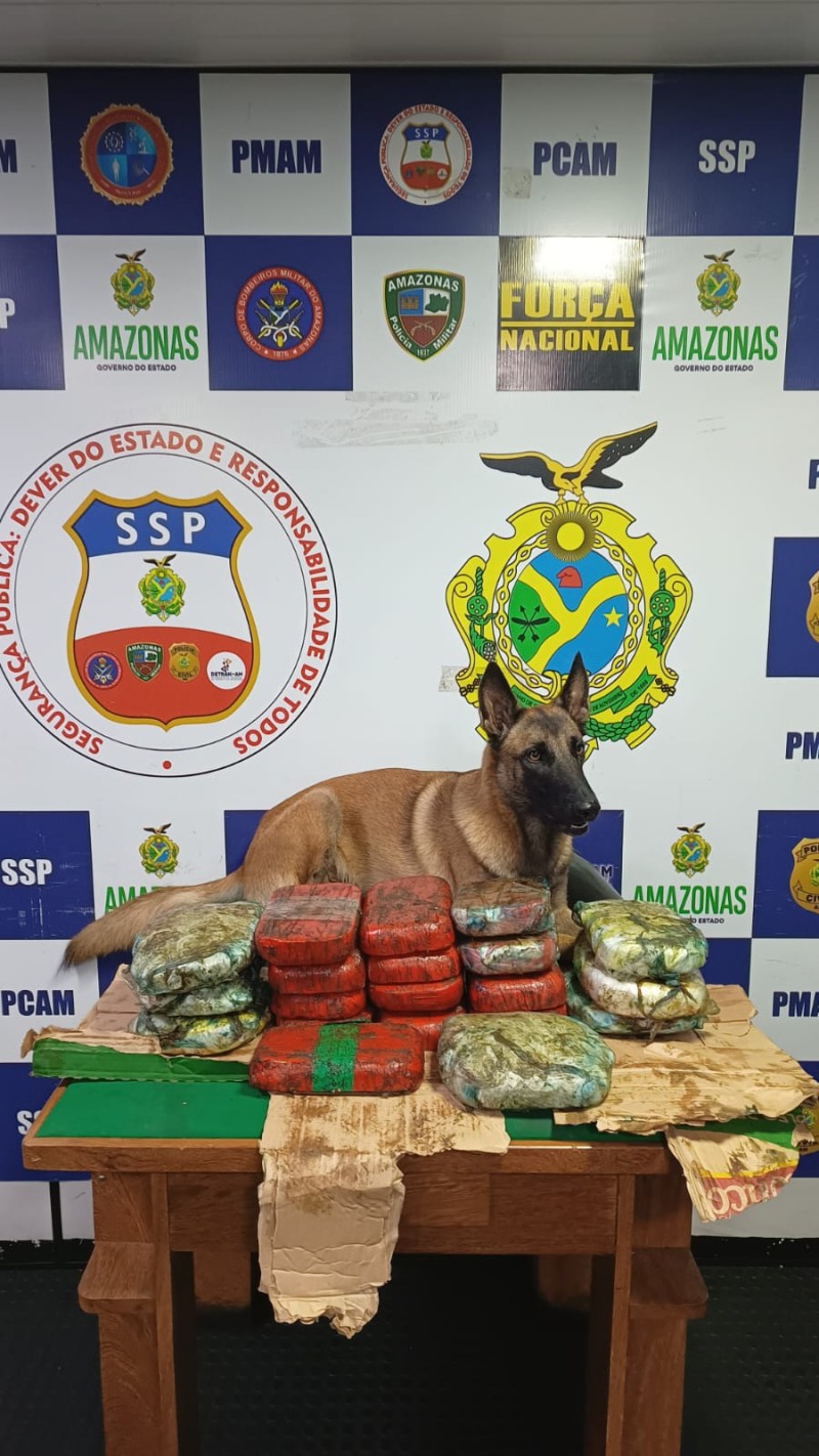 Foto: Reprodução/Secom Amazonas