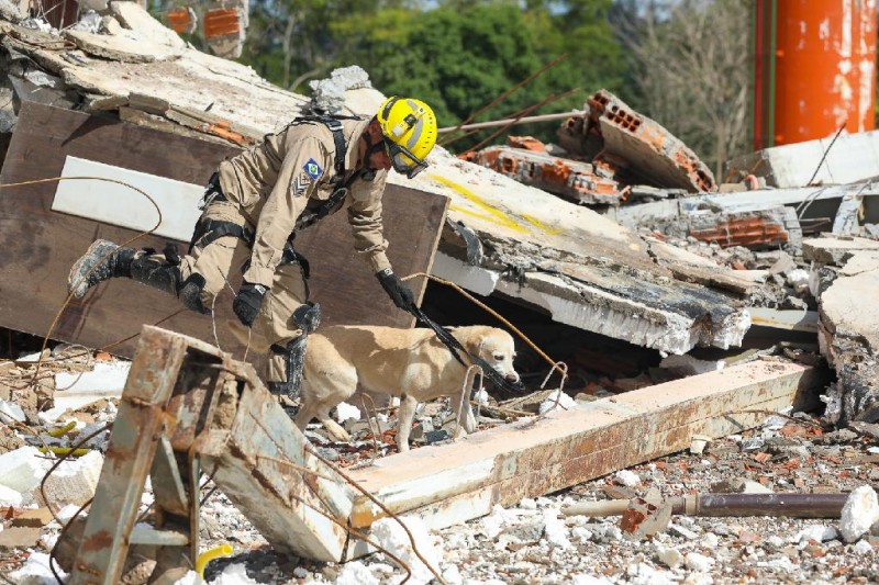 Em 10 anos, cadela Sheron soma mais de 200 ocorrências bem sucedidas - Foto por: Marcos Vergueiro