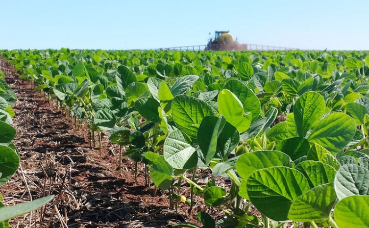 Área plantada de soja no Tocantins chega a 1,25 milhão de hectares - Foto: Seagro/Governo do Tocantins