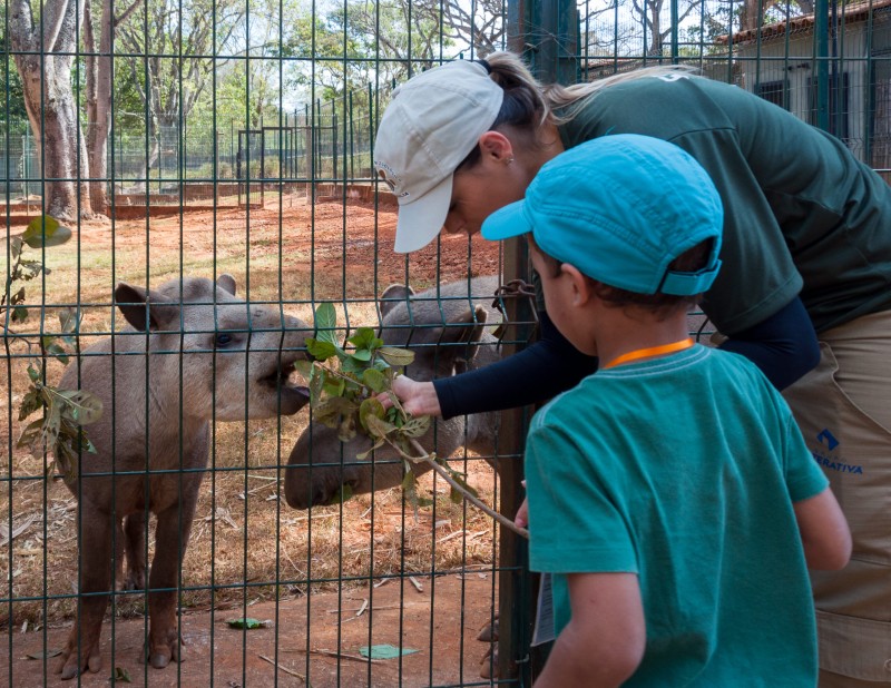 Crianças terão acesso a atividades lúdicas e educativas | Foto: Divulgação/Zoológico de Brasília