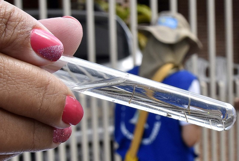 Foto: Tony Winston/Agência Saúde DF