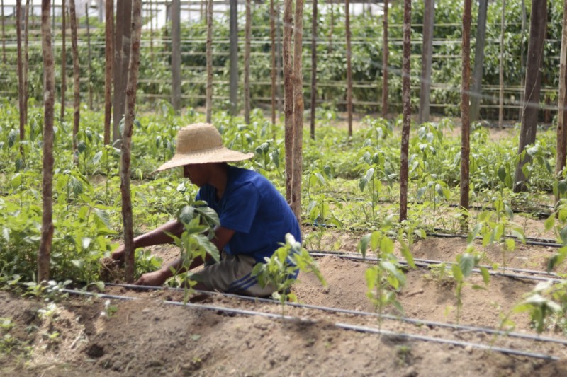 Foto: Reprodução/Secom Amazonas