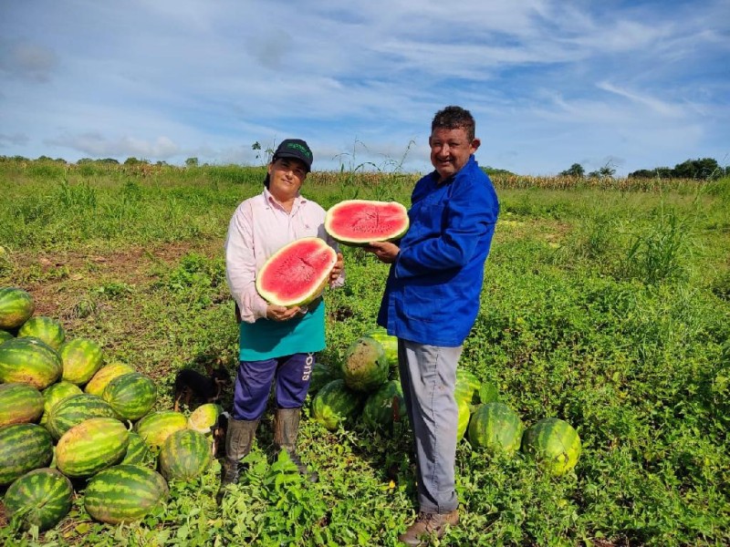 O casal de agricultores Adair e Maria Aparecida no final da safra da melancia - Foto por: Arquivo produtor