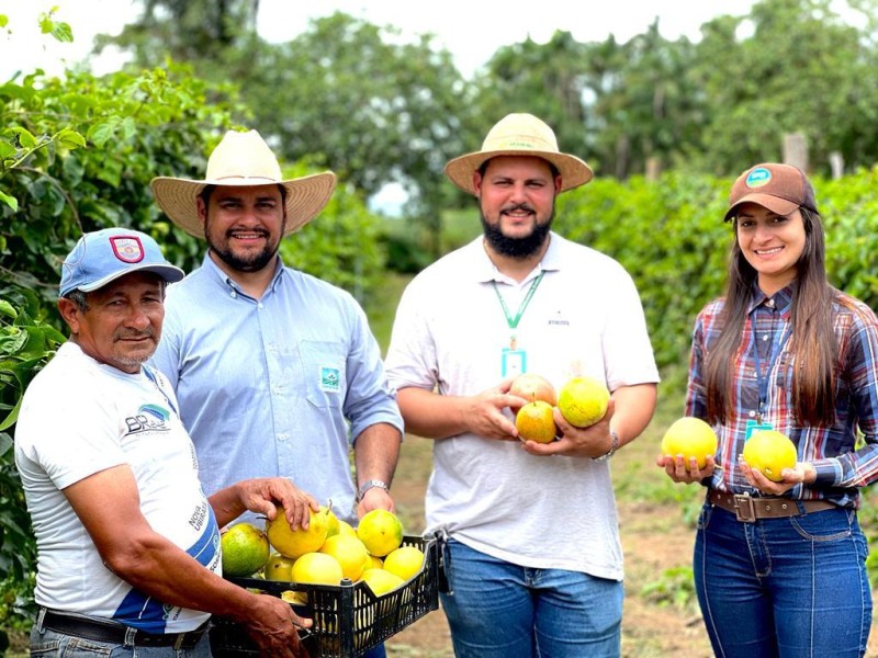 Fruta é mais uma alternativa de cultivo para o pequeno produtor da região - Foto por: Arquivo Prefeitura
