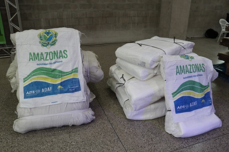 caixas para criação de abelhas sem ferrão