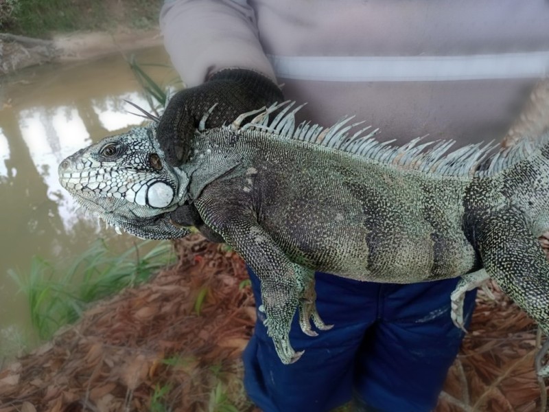 UGPE resgata