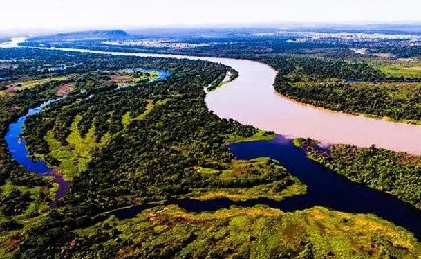 Pantanal é o destino favorito dos estrangeiros em MT