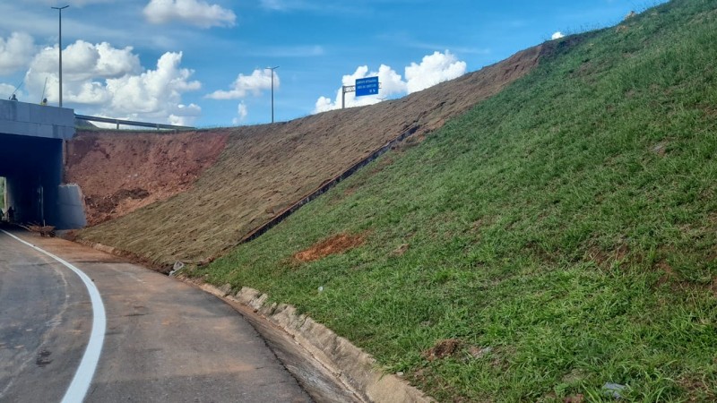 Concluída a vistoria no viaduto, serviço prossegue para garantir a segurança de veículos e pedestres | Foto: Divulgação/DER
