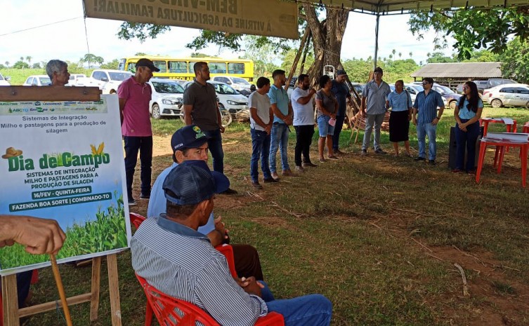 Ruraltins e parceiros promovem Dia de Campo sobre Sistema de Integração Milho e Pastagem - Foto: Ruraltins/Governo do Tocantins