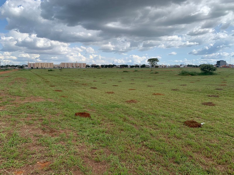 Foto: Divulgação/Brasília Ambiental