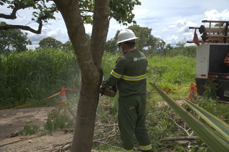 Foto: Divulgação/Neoenergia