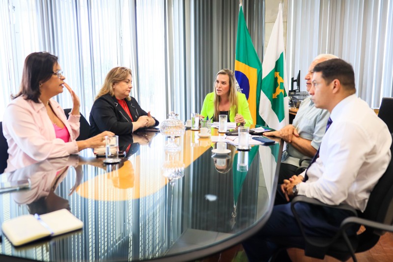 Debora Cronemberger Mendes Pereira