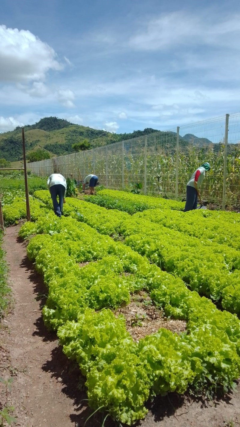 Foto: Reprodução/Secom Espírito Santo
